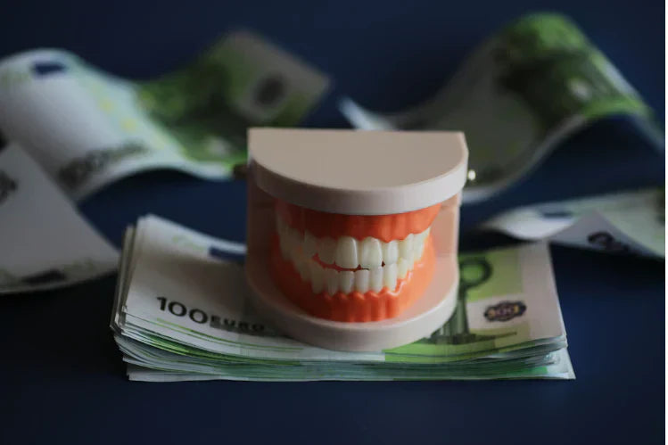  An image of a teeth model placed on money representing the braces cost in Australia