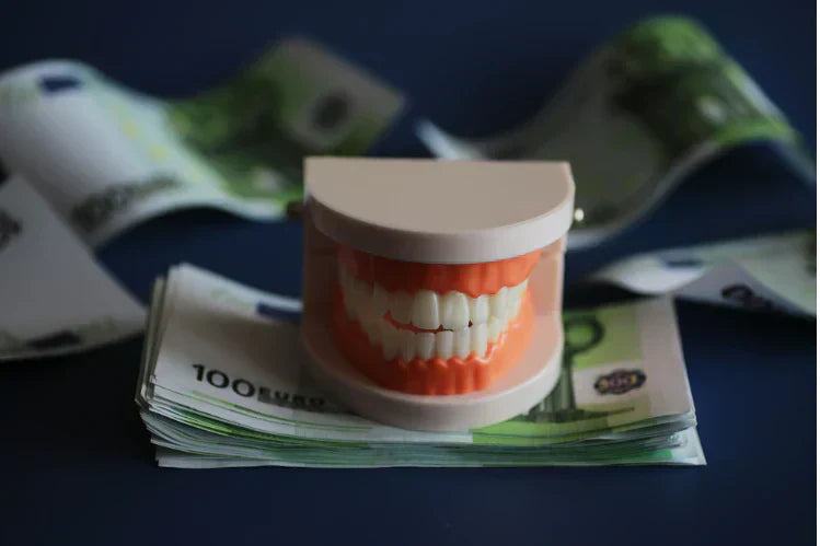  An image of a teeth model placed on money representing the braces cost in Australia
