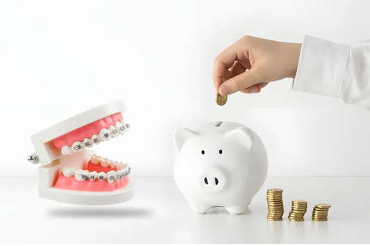 A teeth model with braces and a piggy bank with money 
